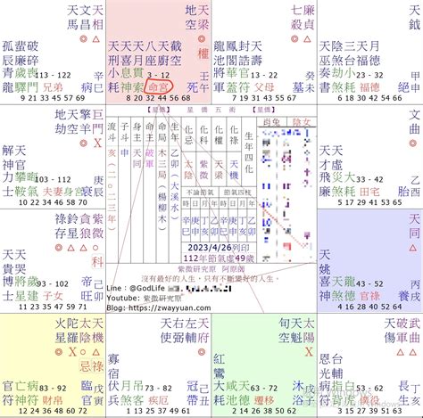 紫微天相命宮|【紫微斗數】14 主星入命宮之能量、特性、重點解析